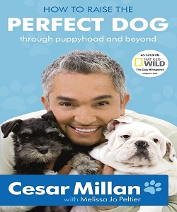 Cesar Millan - How to raise the perfect dog